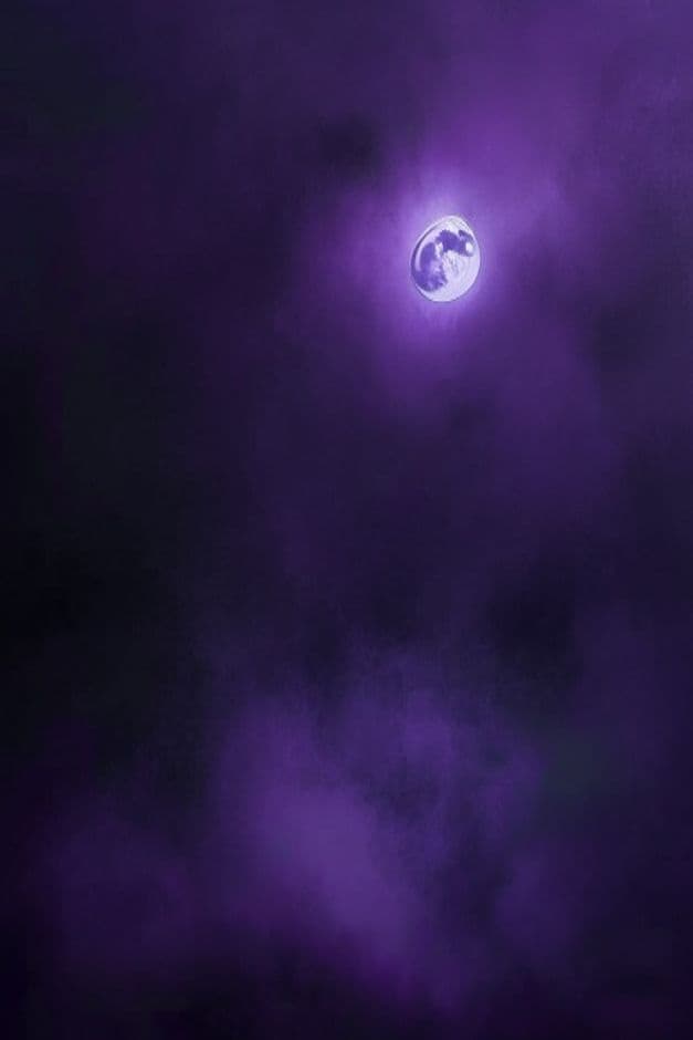 Lời Nguyền Gen Z