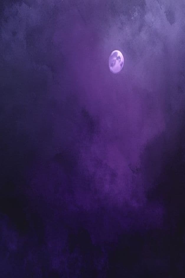 Bóng Hình Trên Màn