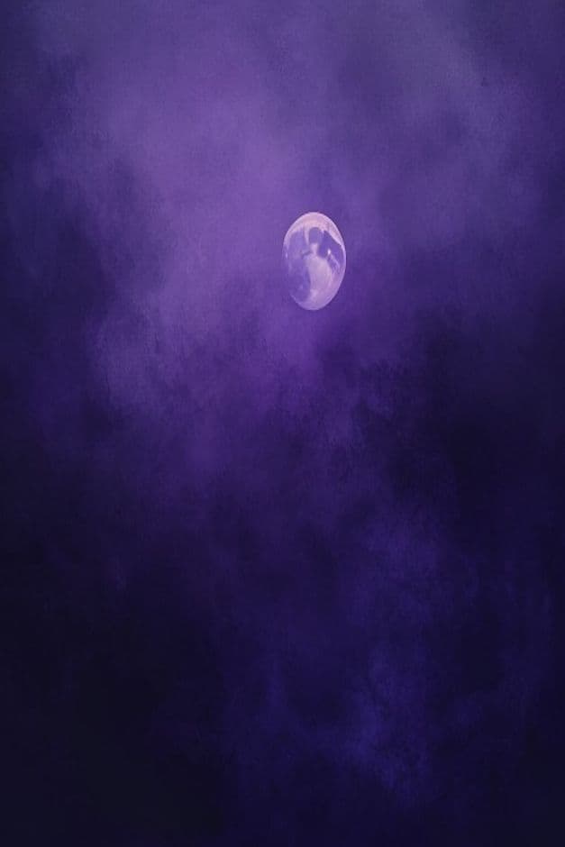 Vòng Lặp Metaverse