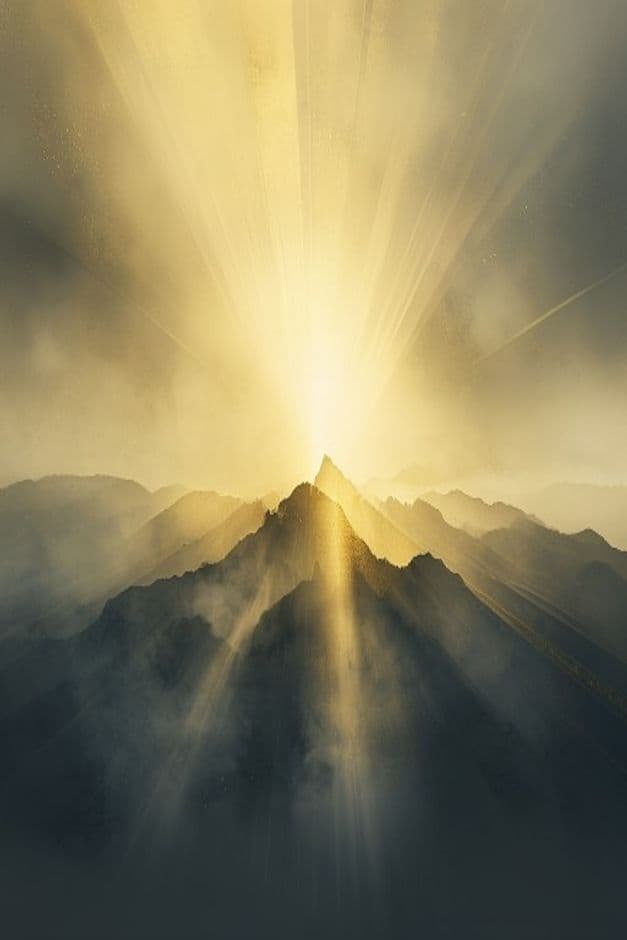 ByteDance Đạo Tông