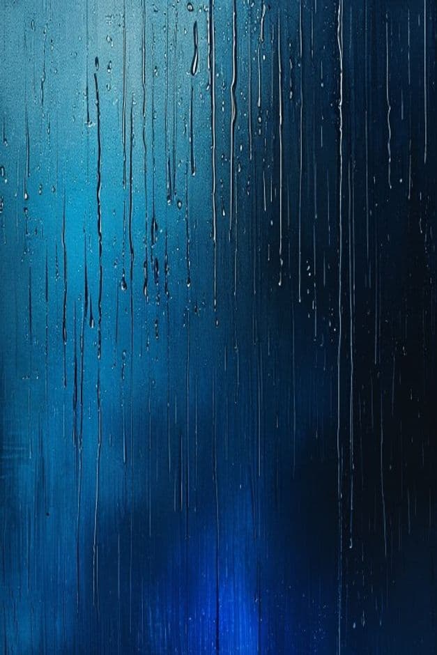 Đôi Giày Mất Tích